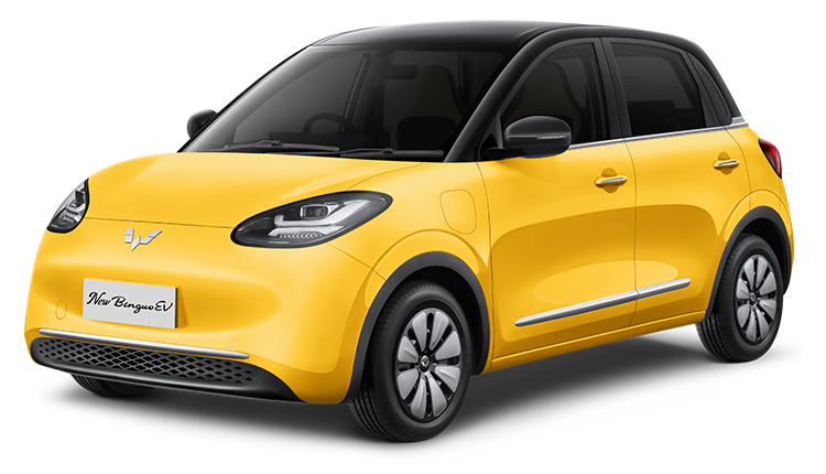 Yellow - Black