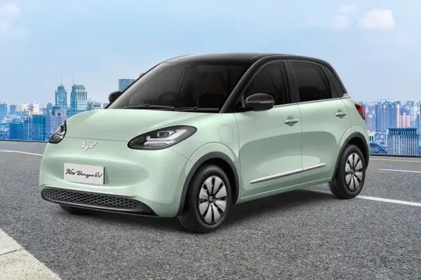 Wuling Binguo